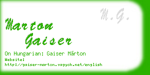 marton gaiser business card